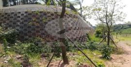 AG真人国际(中国)官方网站